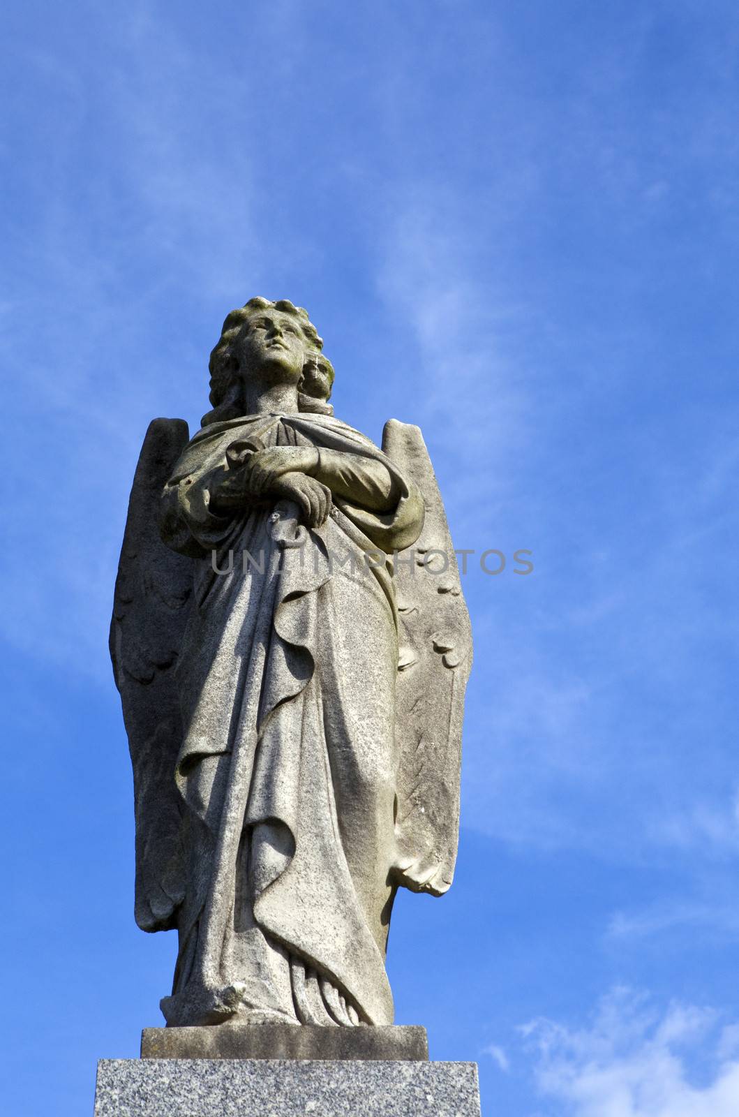 An Angel statue in a London graveyard.