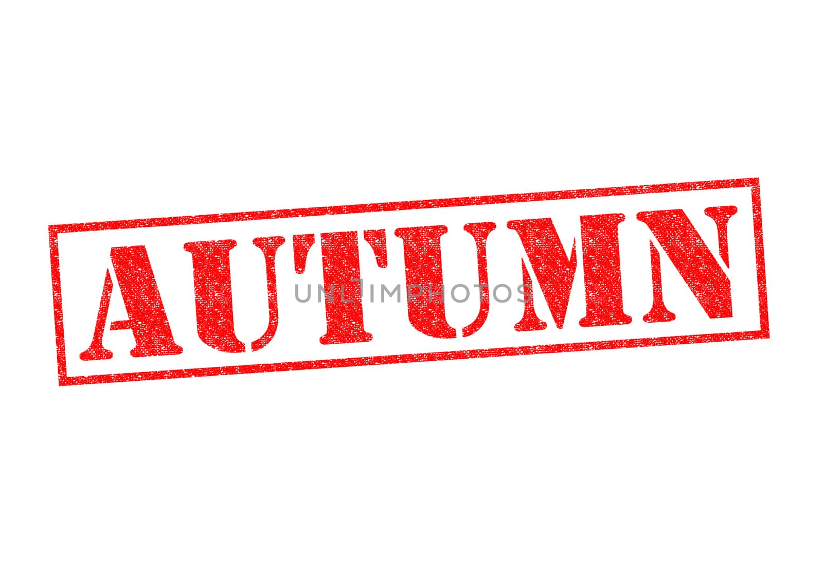 AUTUMN Rubber Stamp over a white background.