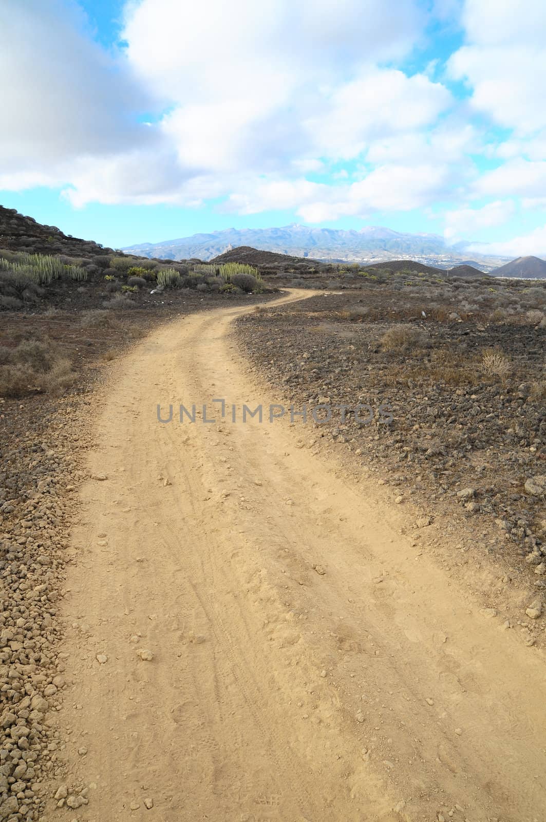 Sand and Rocks Road in the Desert  by underworld