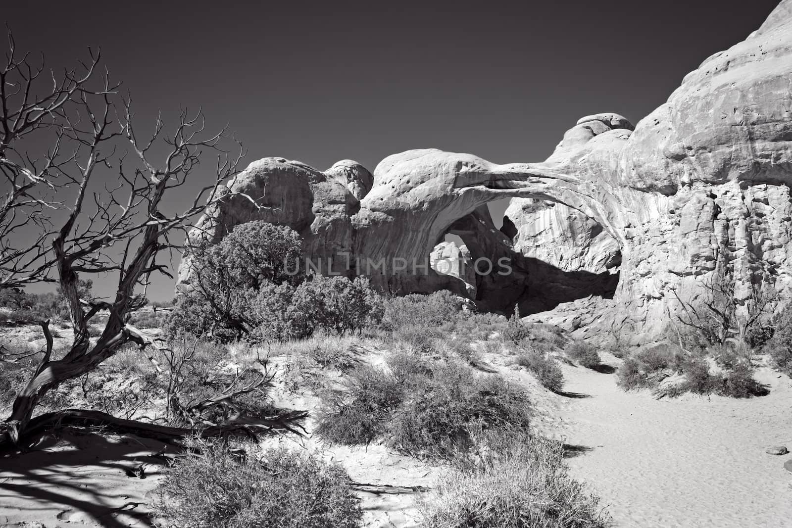 Arches at Arches by picturyay