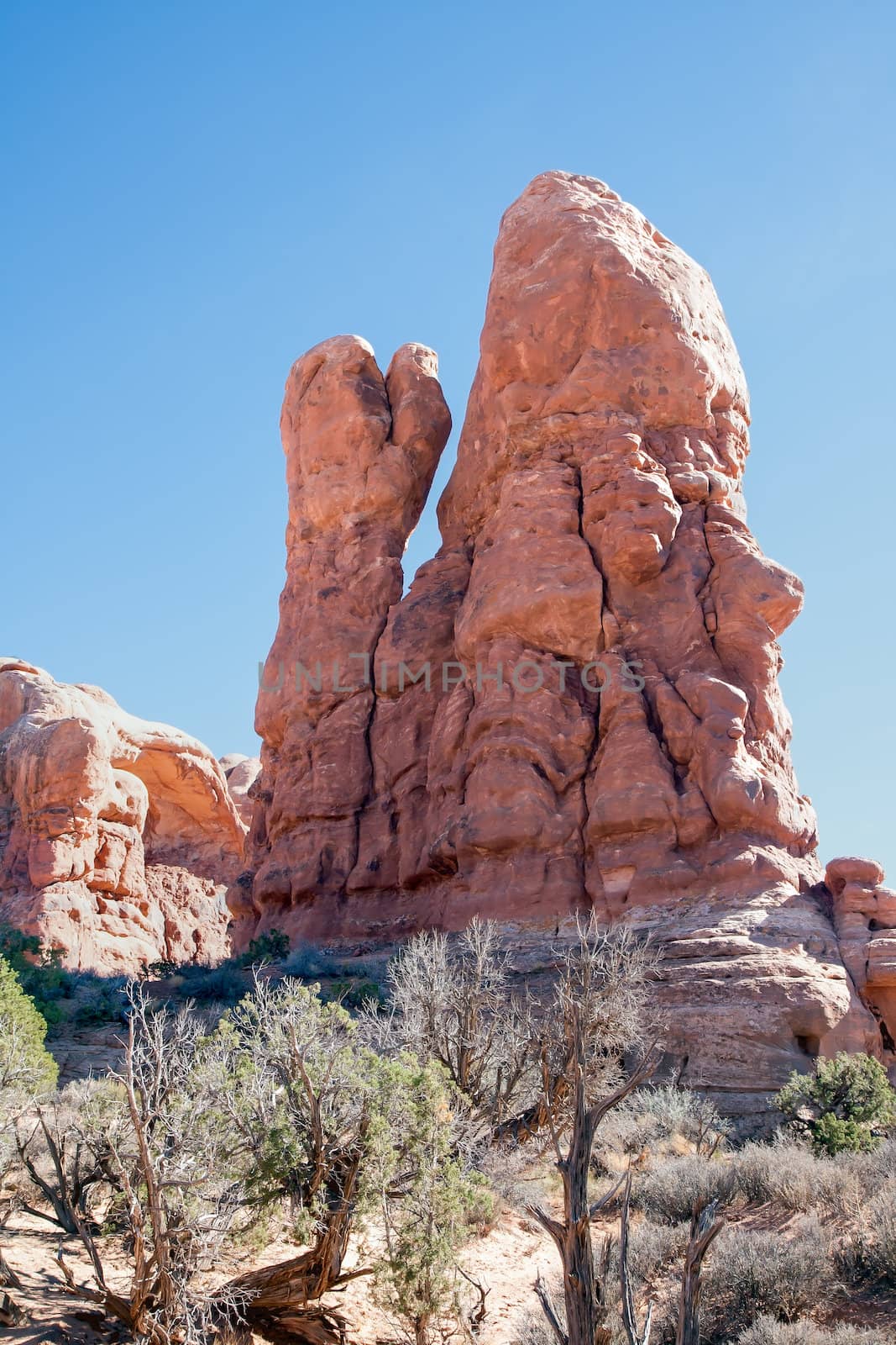 This large rock formation at Arches National Park appears to be holding up a hand and waving.