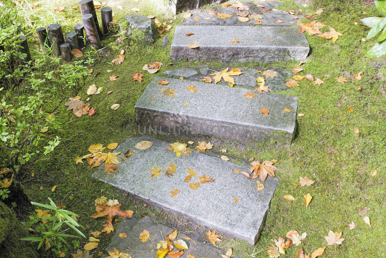 Asian Inspired Garden Granite Slabs Stone Steps with Moss and Fall Leaves