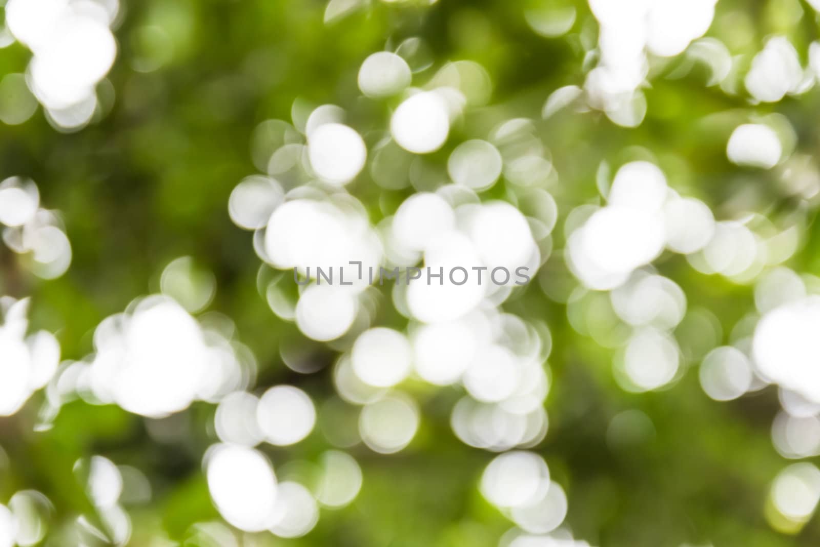 Photo of blurred lights white sparkles.