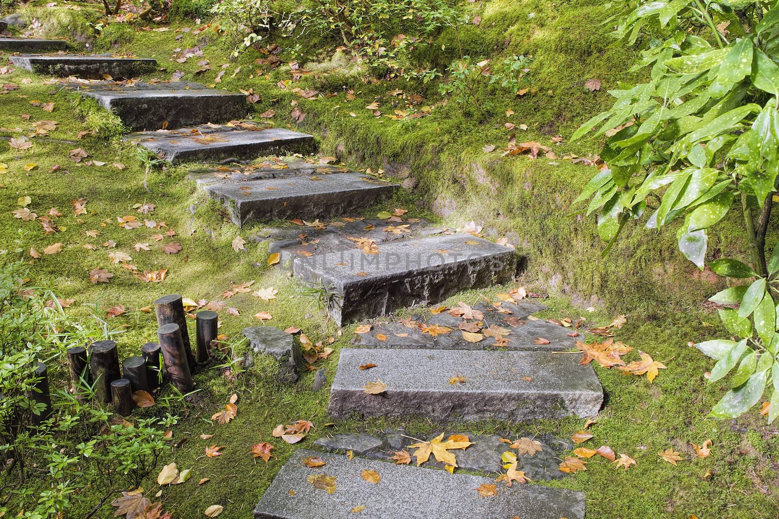 Asian Inspired Japanese Garden Granite Slabs Stone Steps with Moss and Fall Leaves