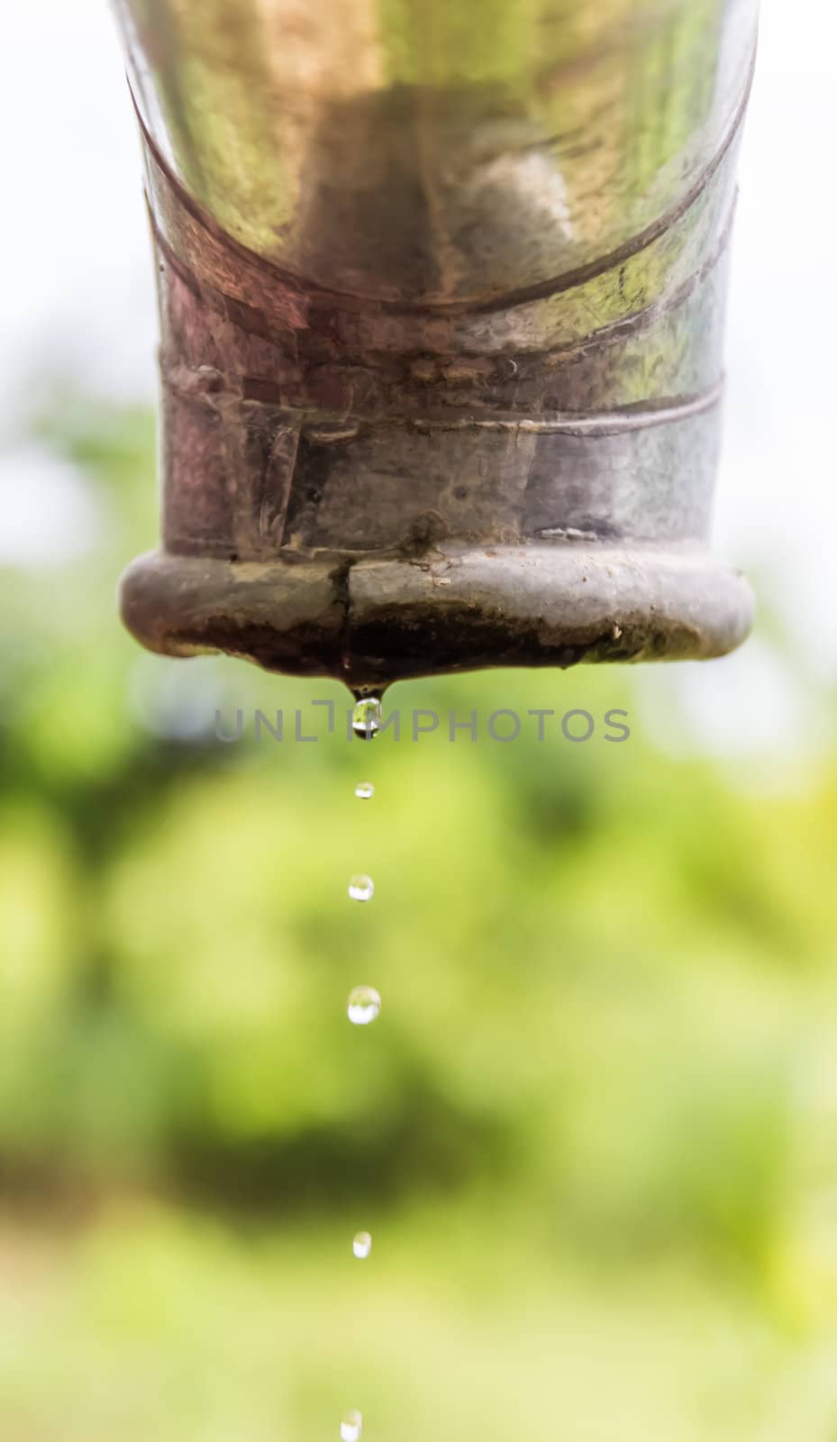 Water drips from a pipe. by photo2life