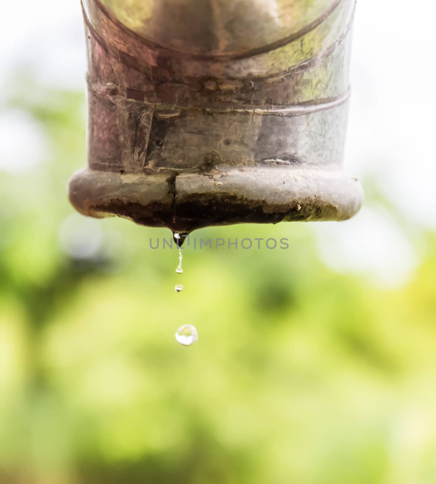 Water drips from a pipe. by photo2life