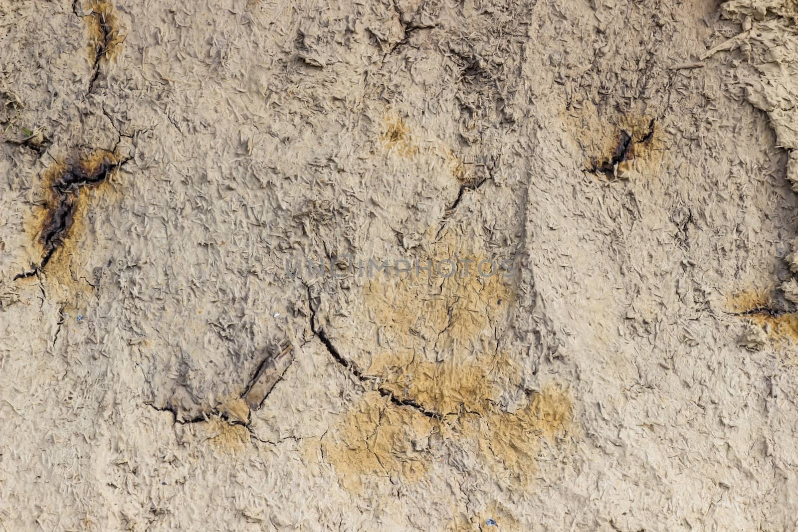 Wall from soil texture by photo2life