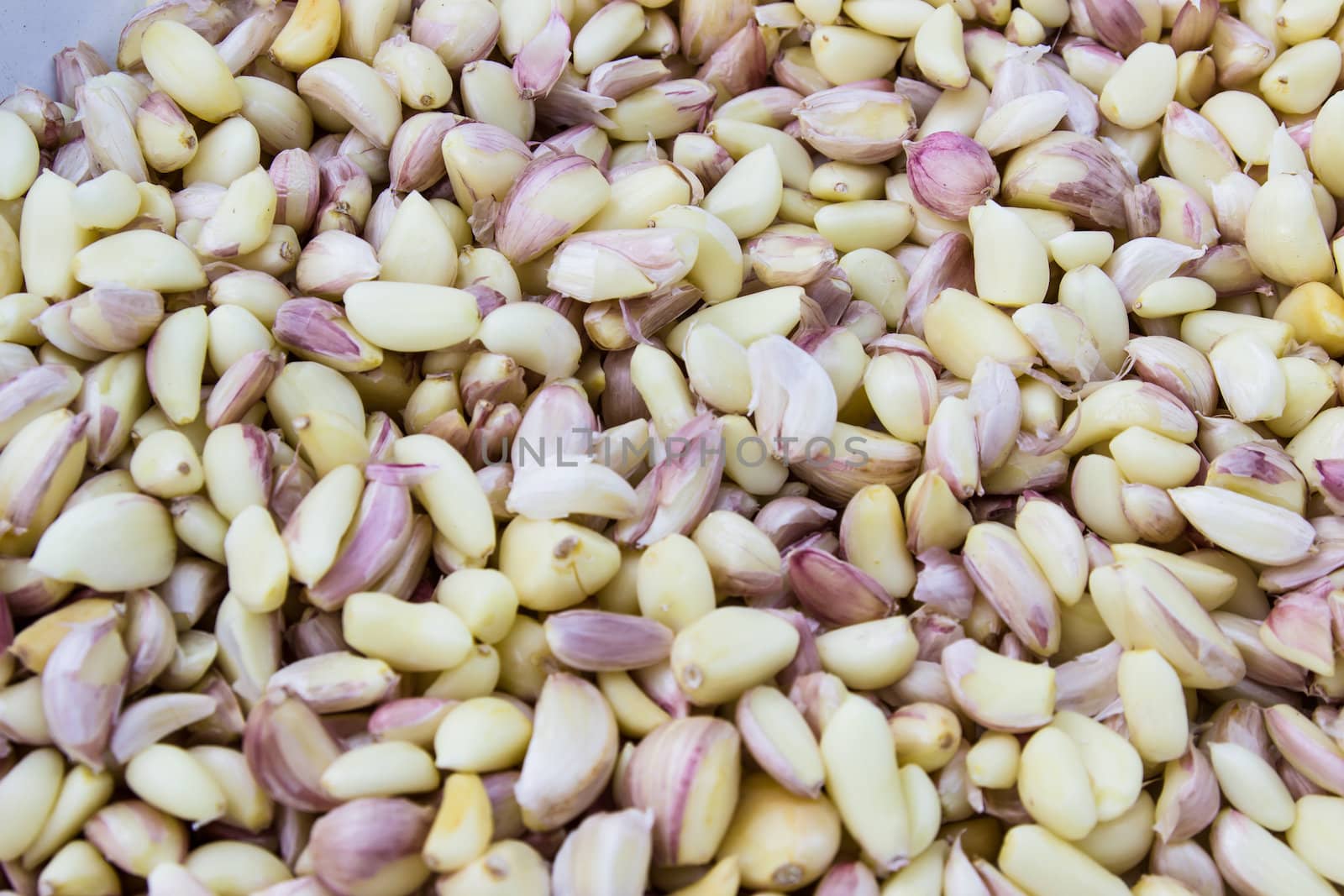 Garlic  isolated on white background by photo2life