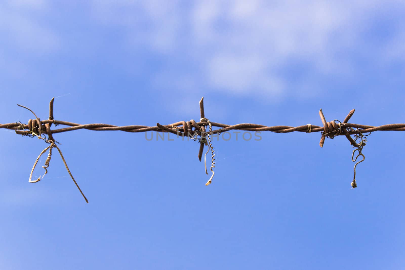 Barbed wire and blue sky by photo2life