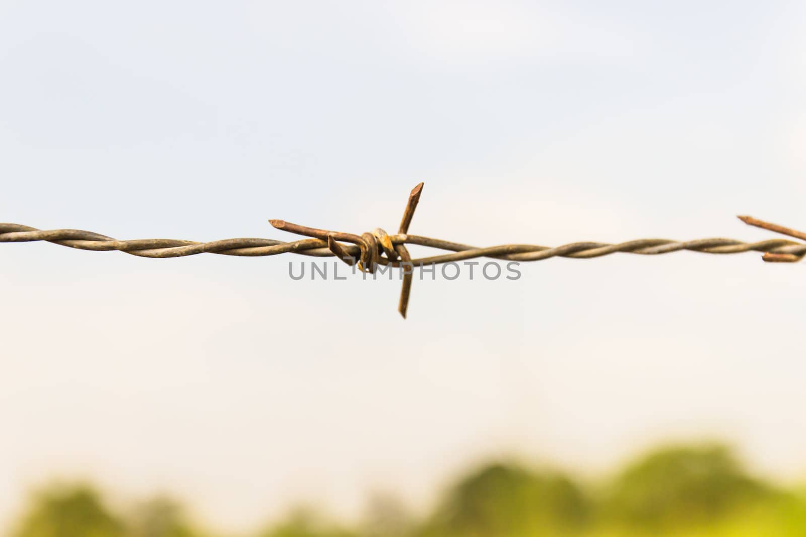 Barbed wire and blue sky by photo2life