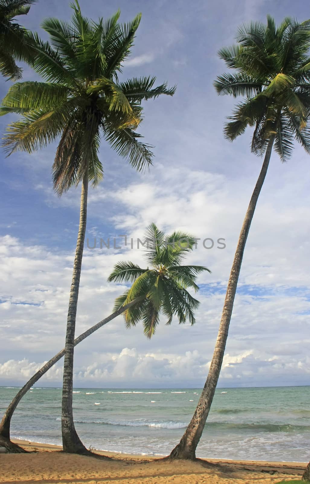 Las Terrenas beach, Samana peninsula, Dominican Republic by donya_nedomam