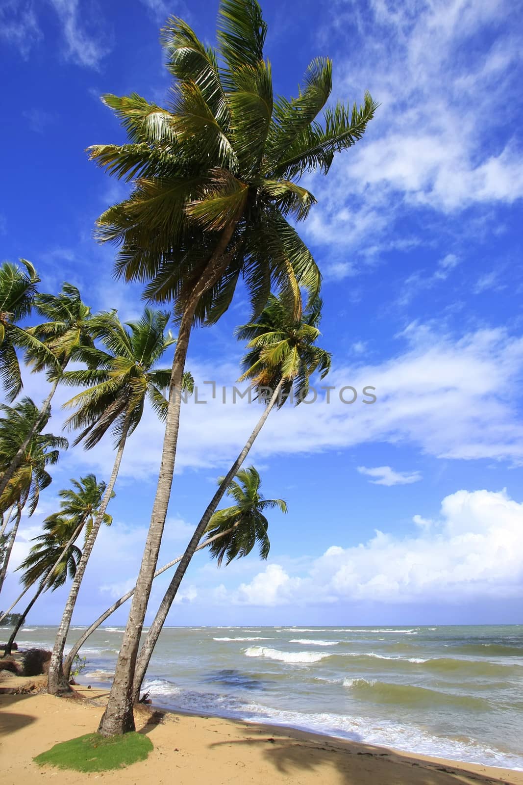 Las Terrenas beach, Samana peninsula, Dominican Republic by donya_nedomam