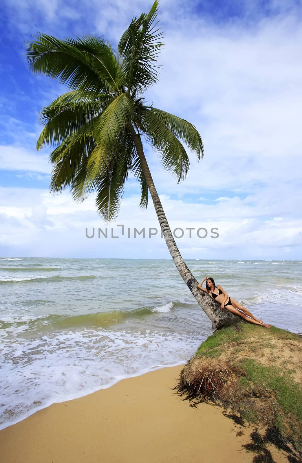 Leaning palm tree at Las Terrenas beach, Samana peninsula by donya_nedomam