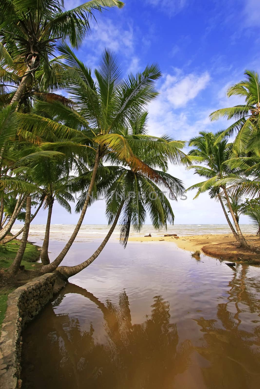 Freshwater river at Las Terrenas beach, Samana peninsula, Dominican Republic