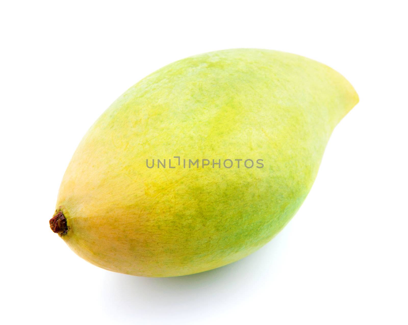 Fresh tropical waterlily mango isolated on white background