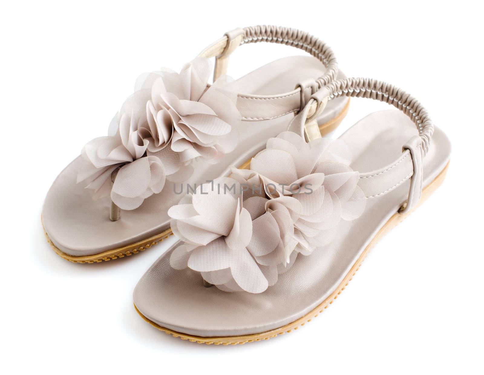Woman opened toes summer flat shoes isolated on white background