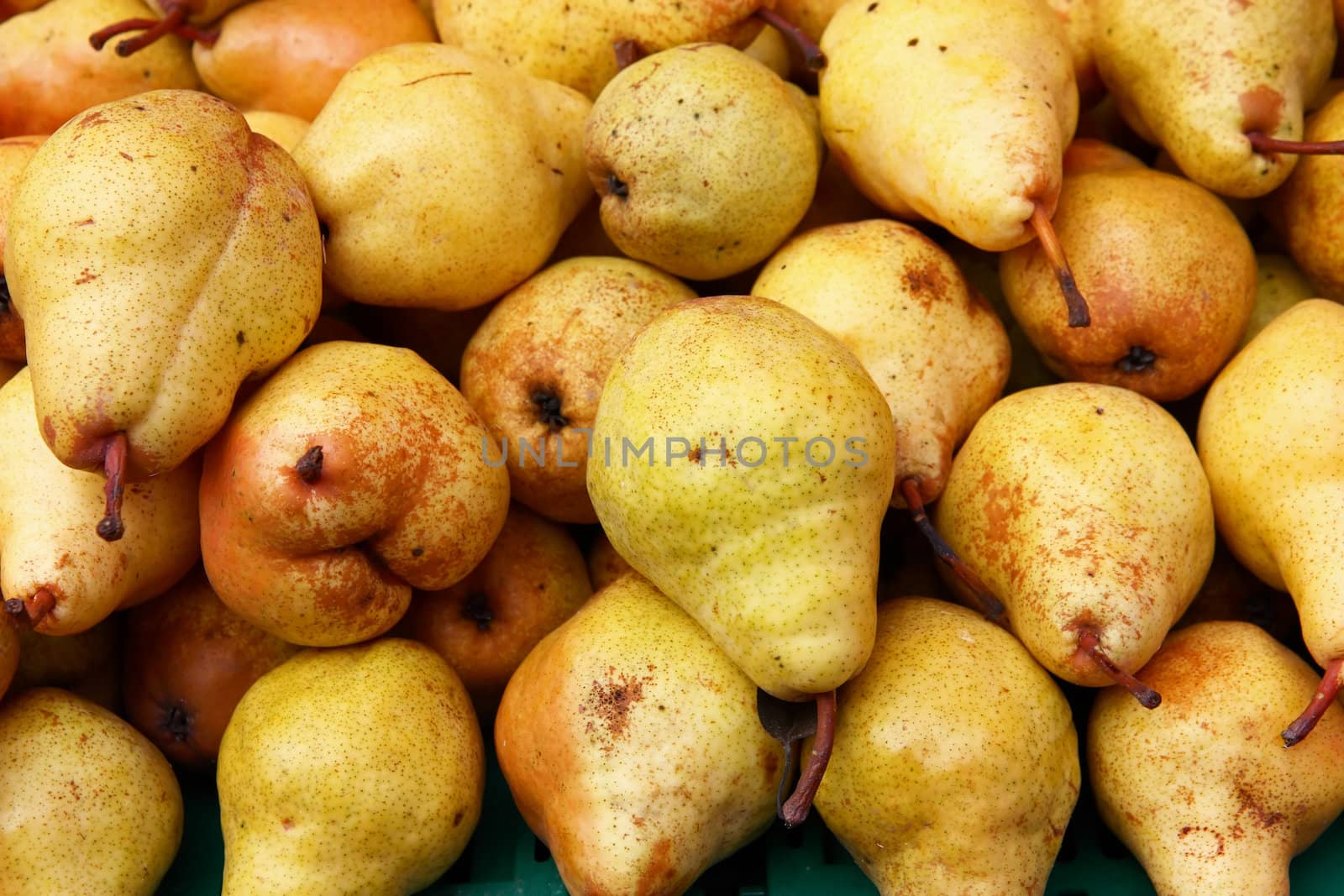 Lot of ripe fresh yellow pears on local market