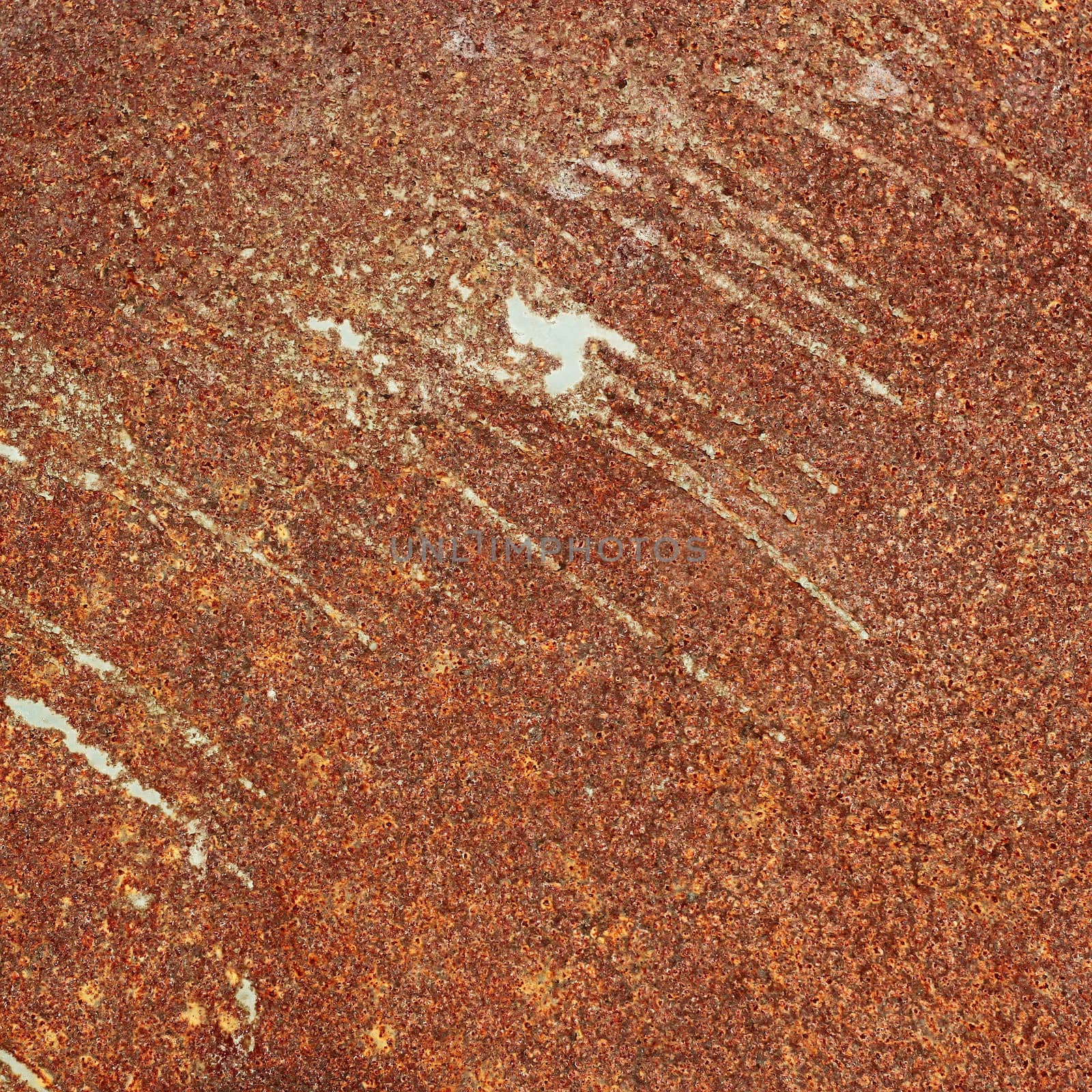 Detail of rusty sheet metal with the pain remnants