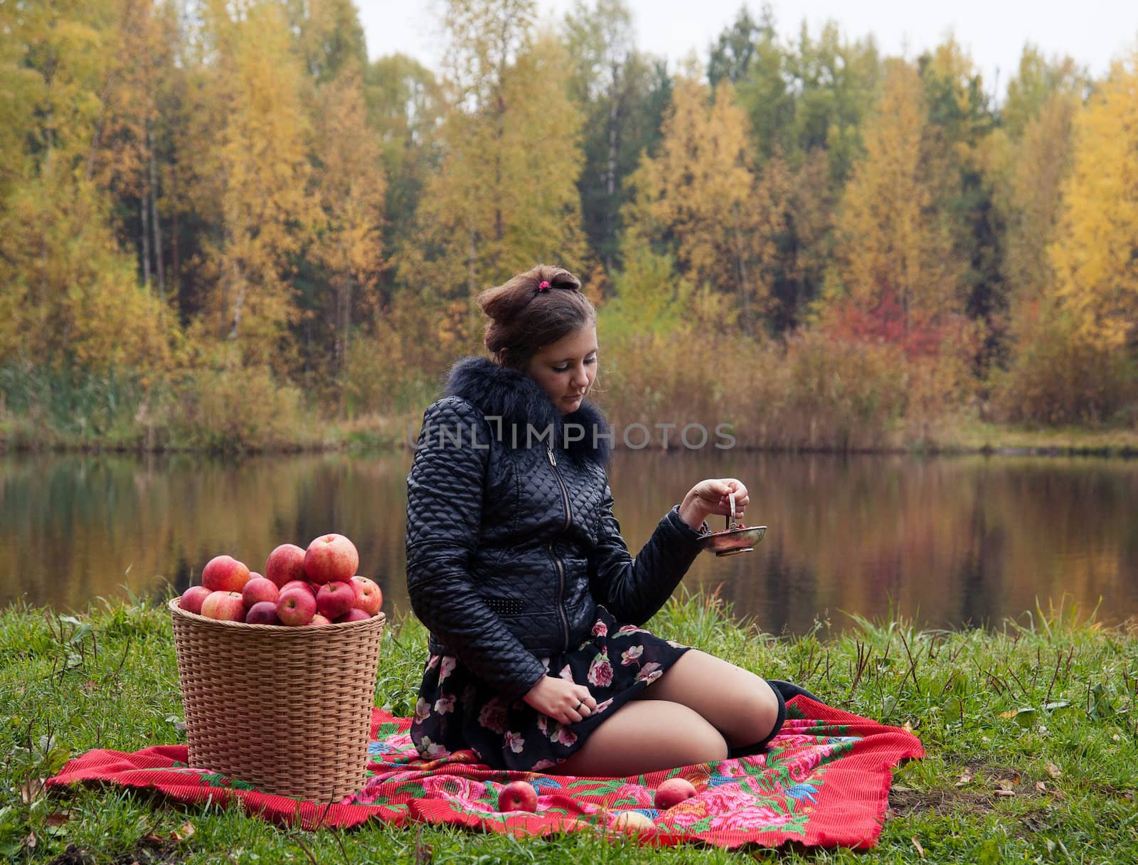 haughty woman with a basket of apples on a picnic