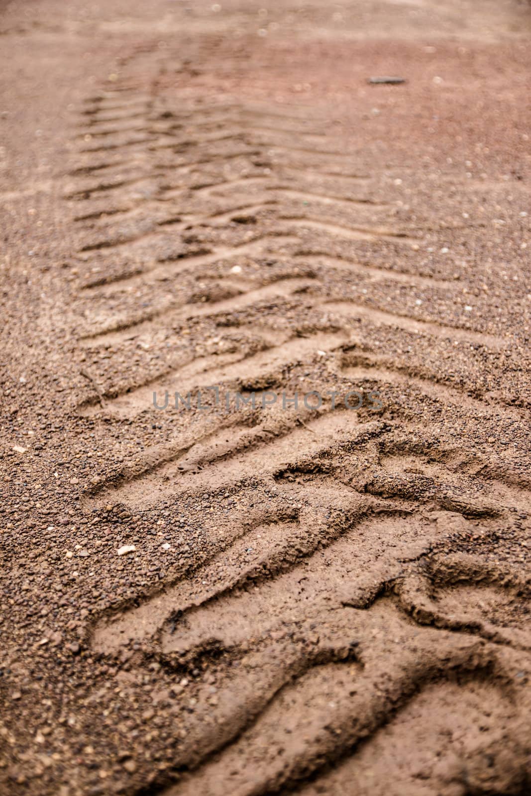 Tyre tracks in the sandstone background.