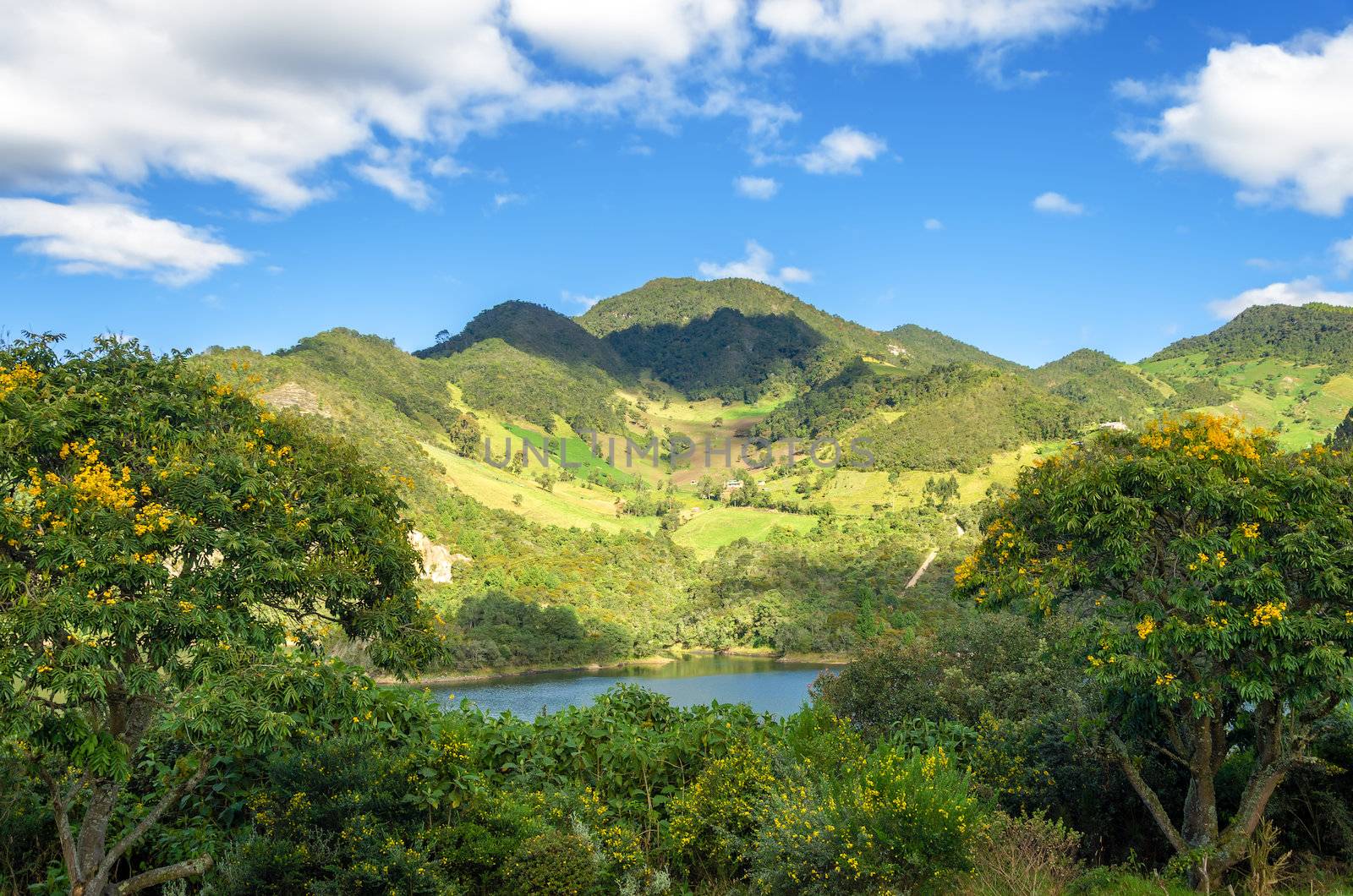 Lush green hills and a lake in Neusa, Colombia