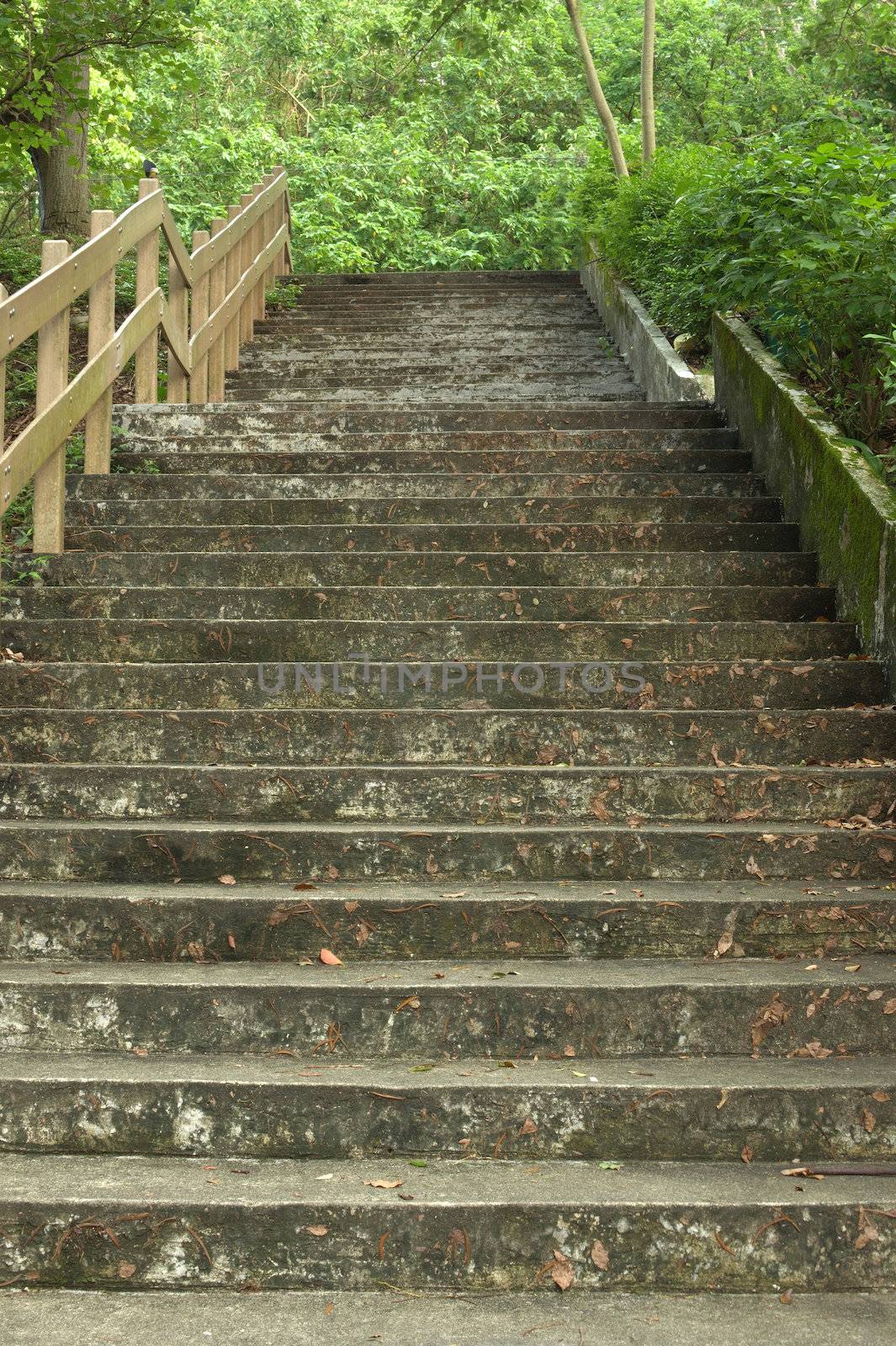 Beautiful stairway in the park by elwynn