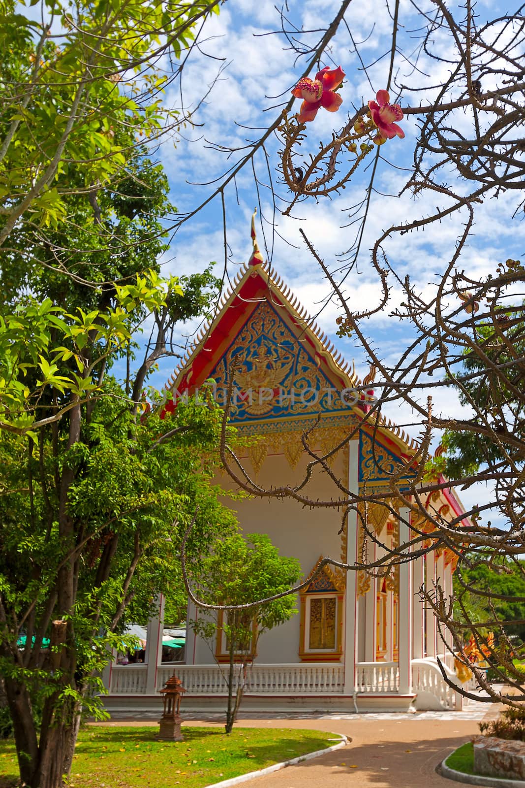 Buddhist temple through  branches of trees against  blue sky, Thailand.