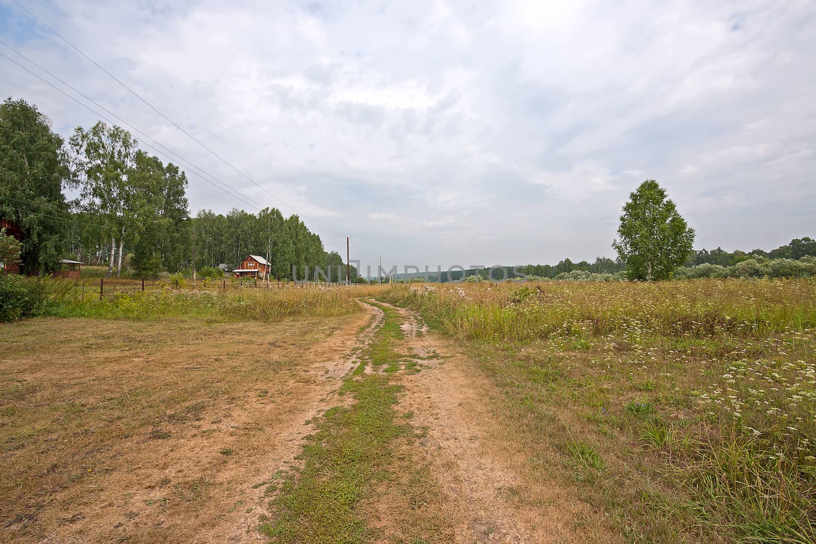 rural landscape by zhannaprokopeva