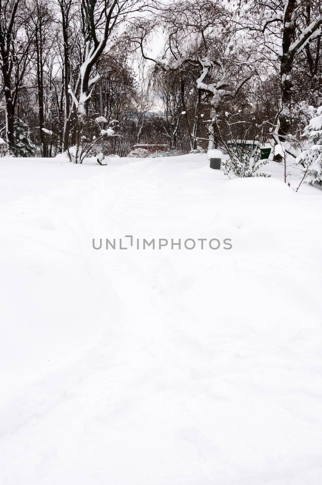 Path way in a white winter park by iryna_rasko
