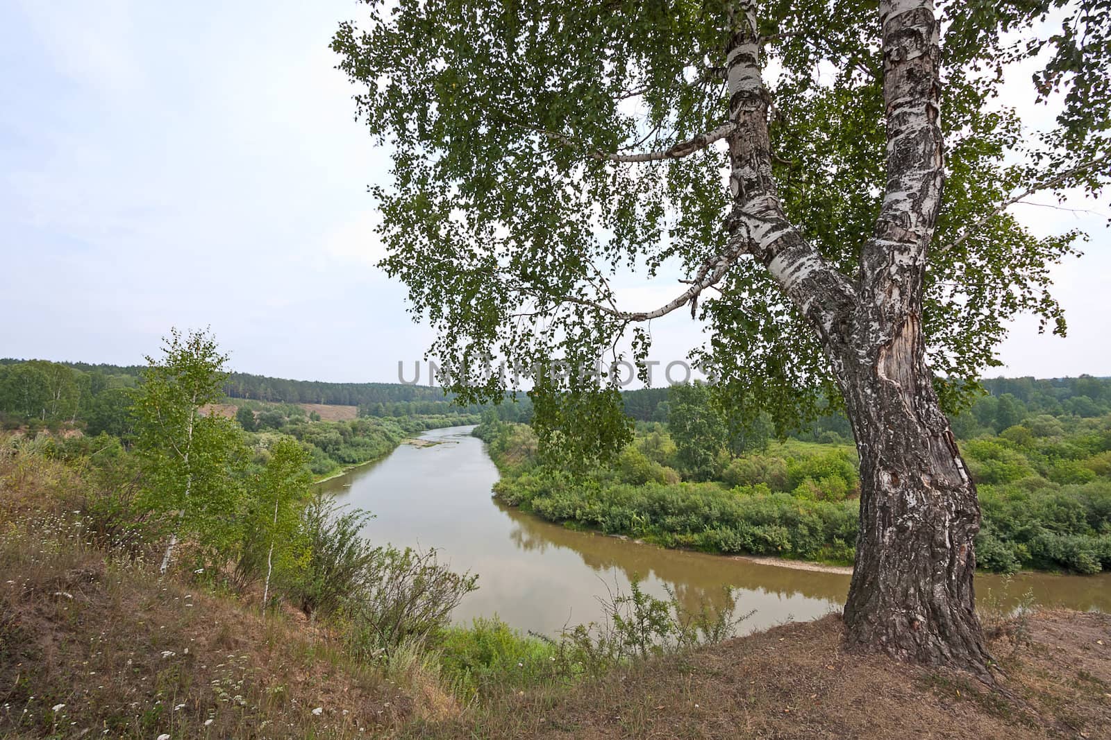 Summer landscape. View of river and the forest, Russia.
