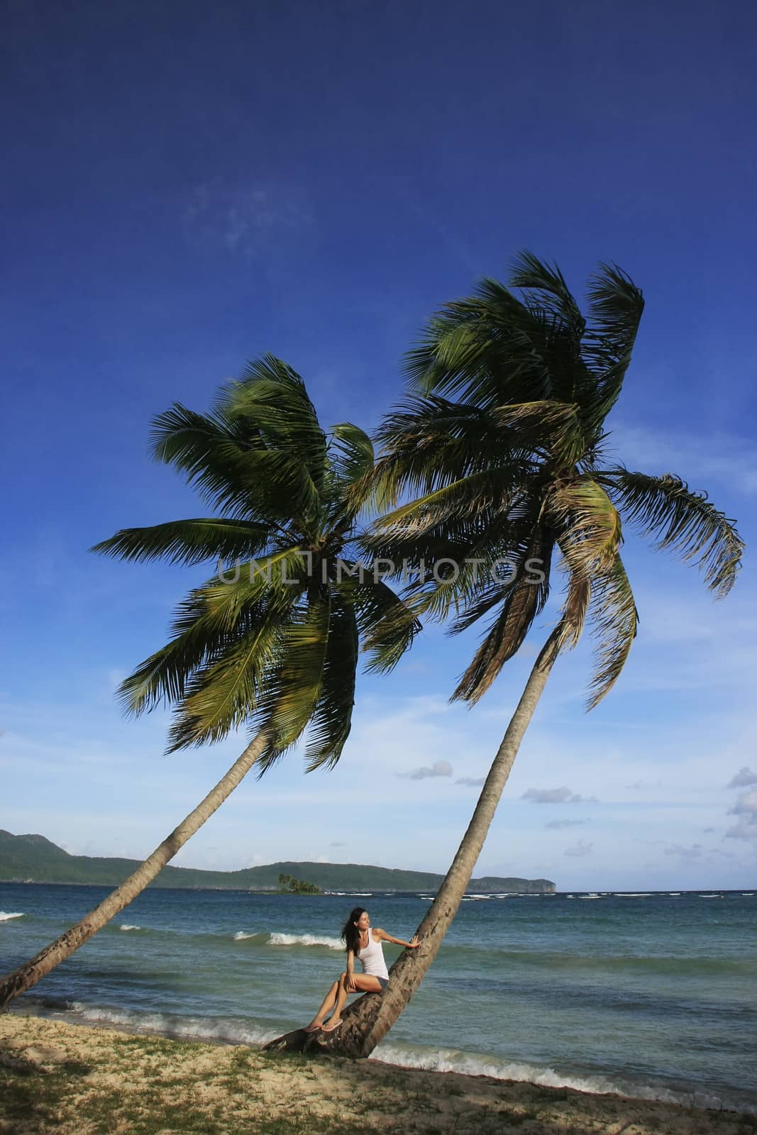 Young woman sitting on leaning palm tree, Las Galeras beach, Samana peninsula, Dominican Republic