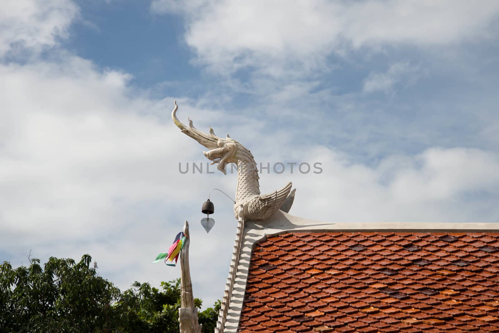 Dragon roof.