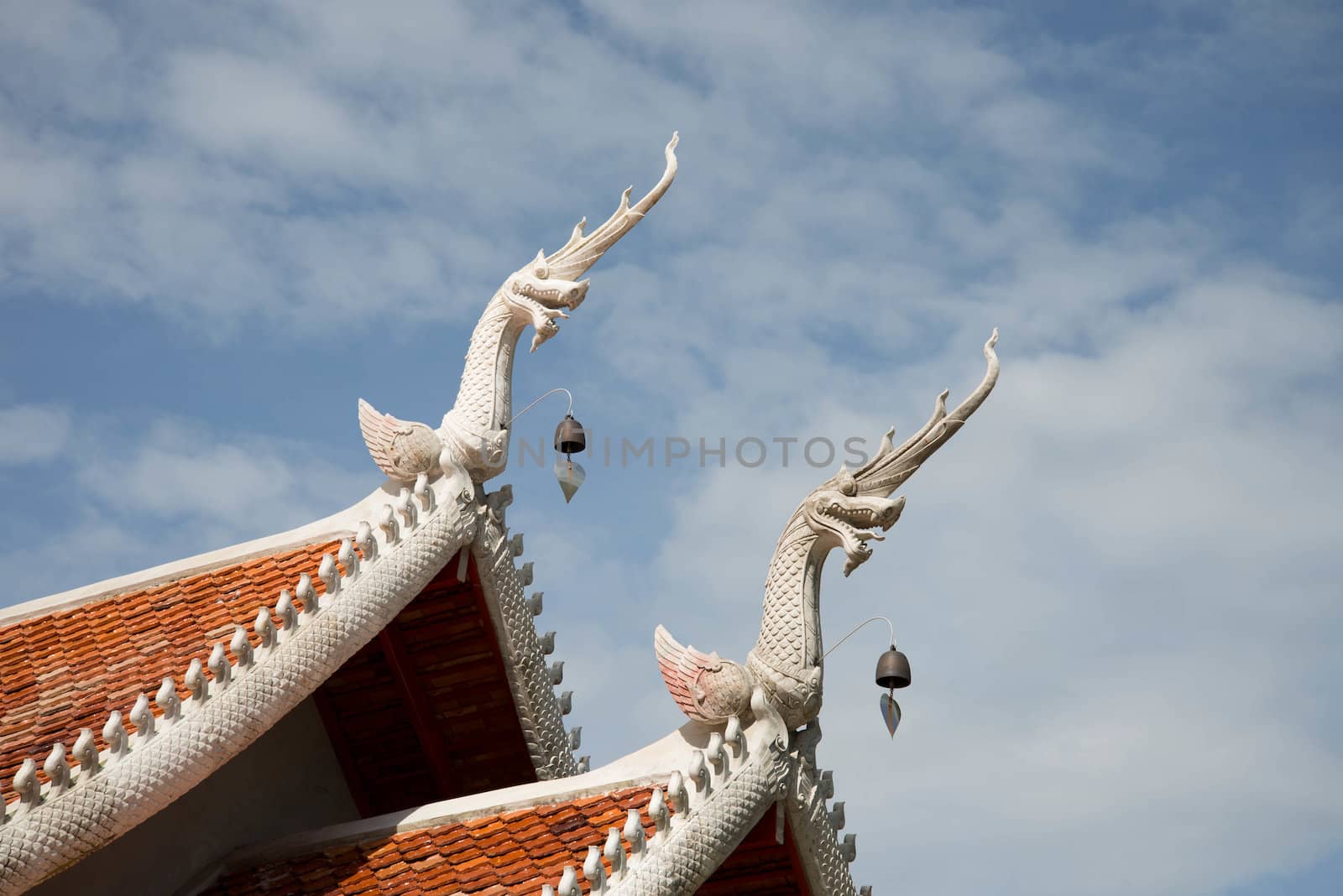 Dragon roof.