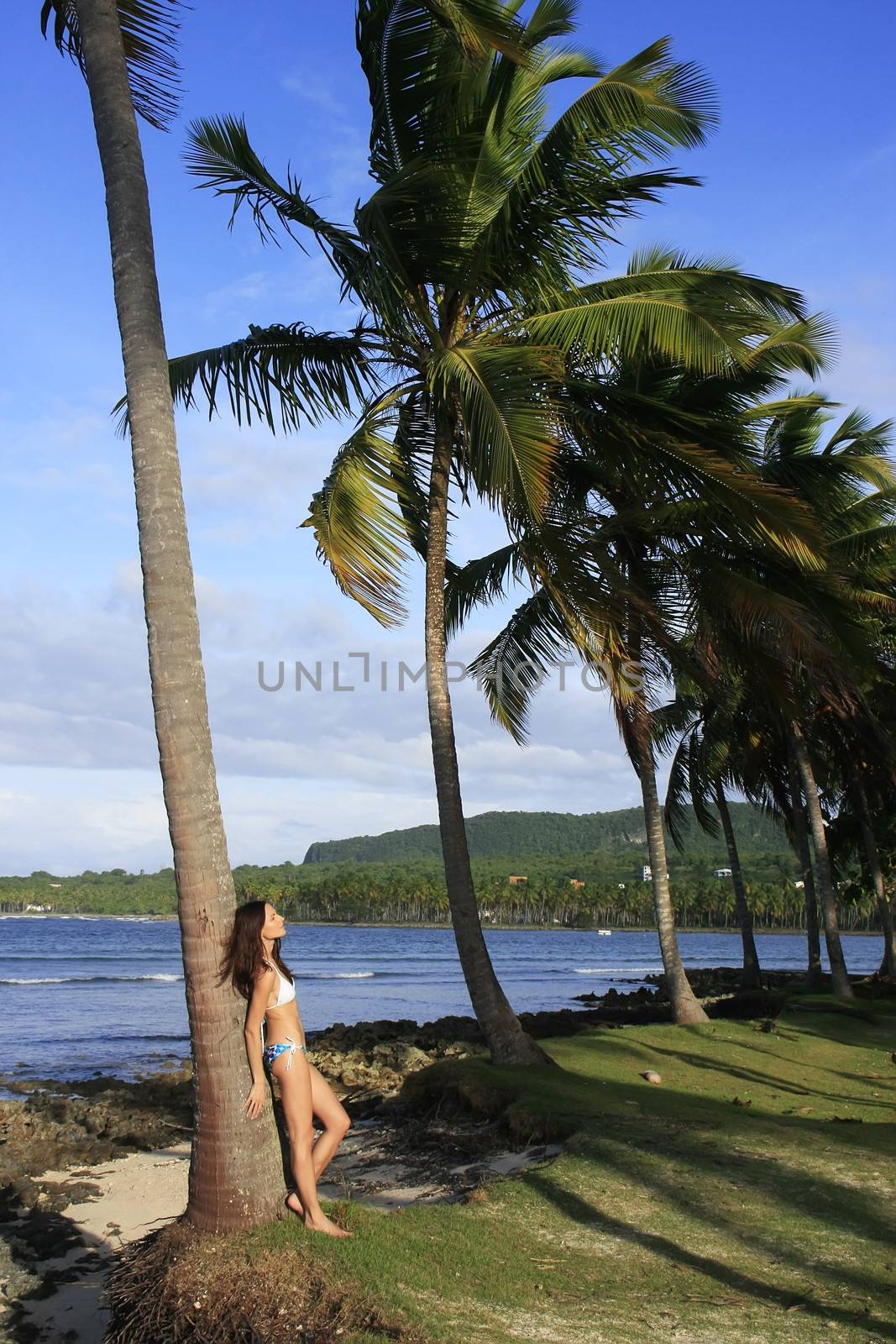 Young woman in bikini standing by palm tree, Las Galeras beach, Samana peninsula, Dominican Republic