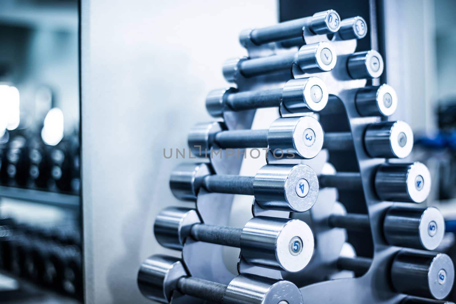 Rows of dumbbells in the gym