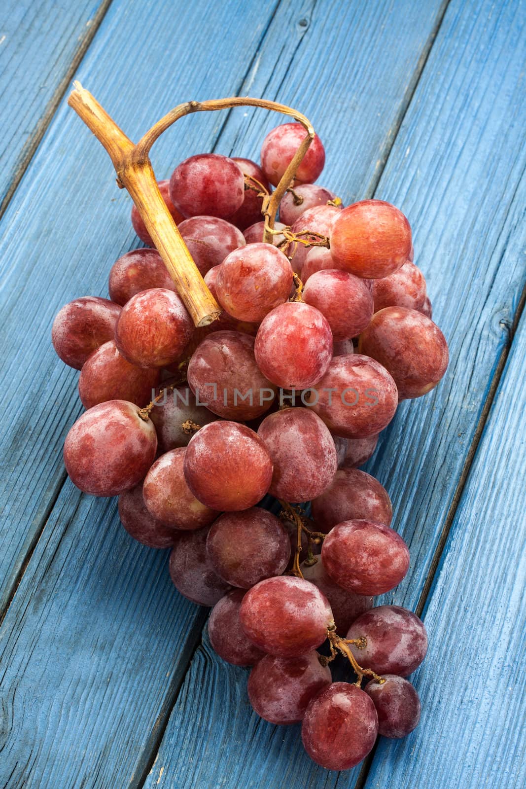 a fresh grapevine on a wood background