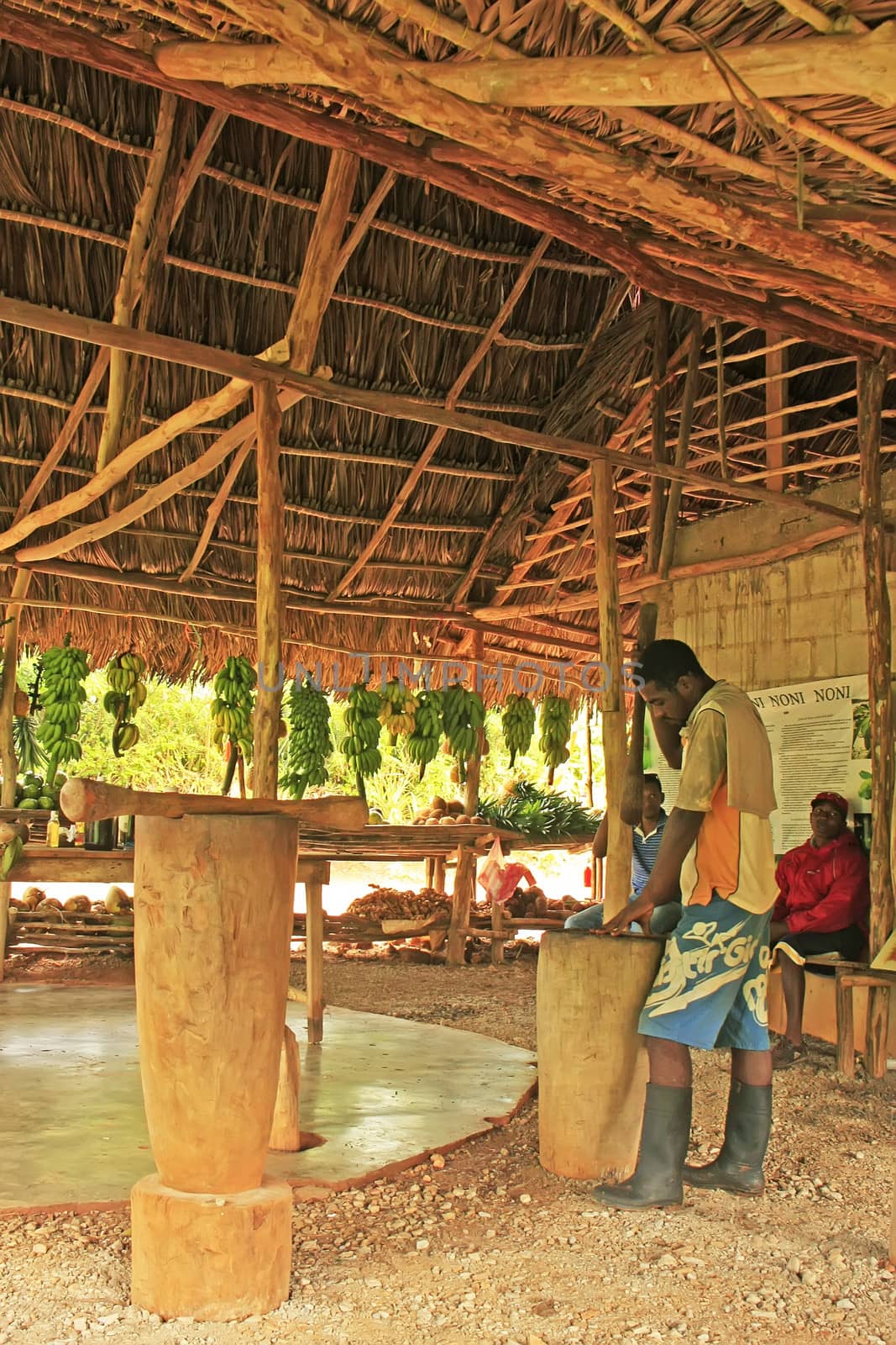 Local man processing cocoa beans in small village factory, Saman by donya_nedomam