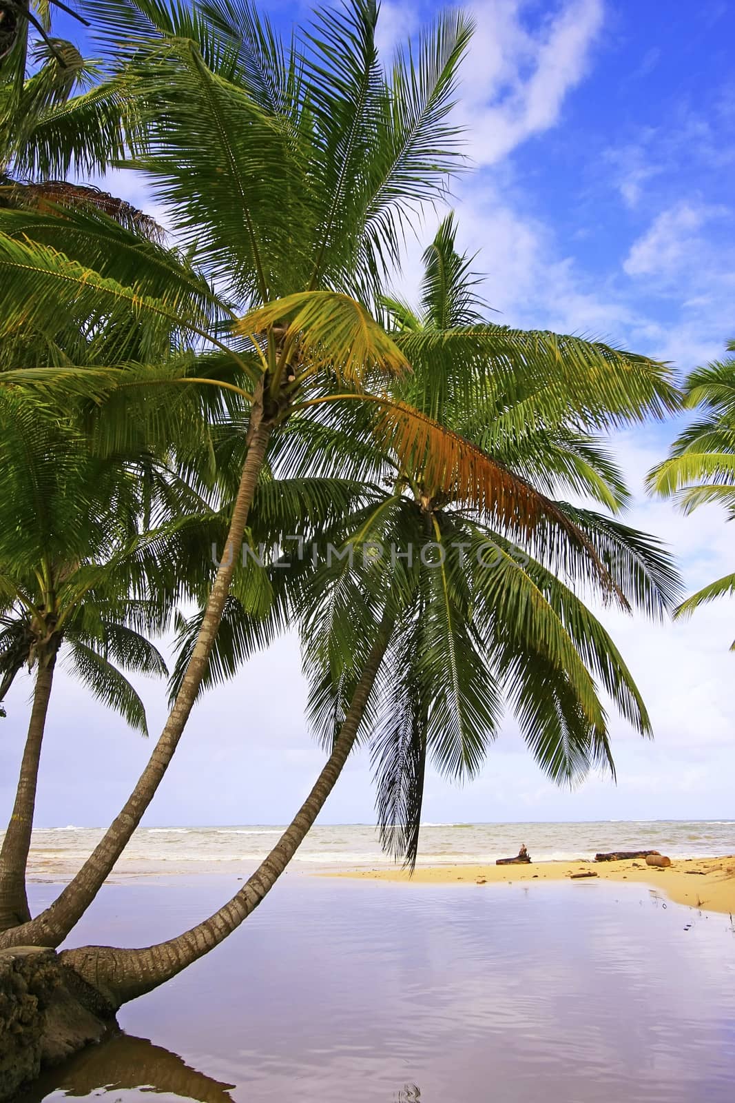 Freshwater river at Las Terrenas beach, Samana peninsula, Dominican Republic