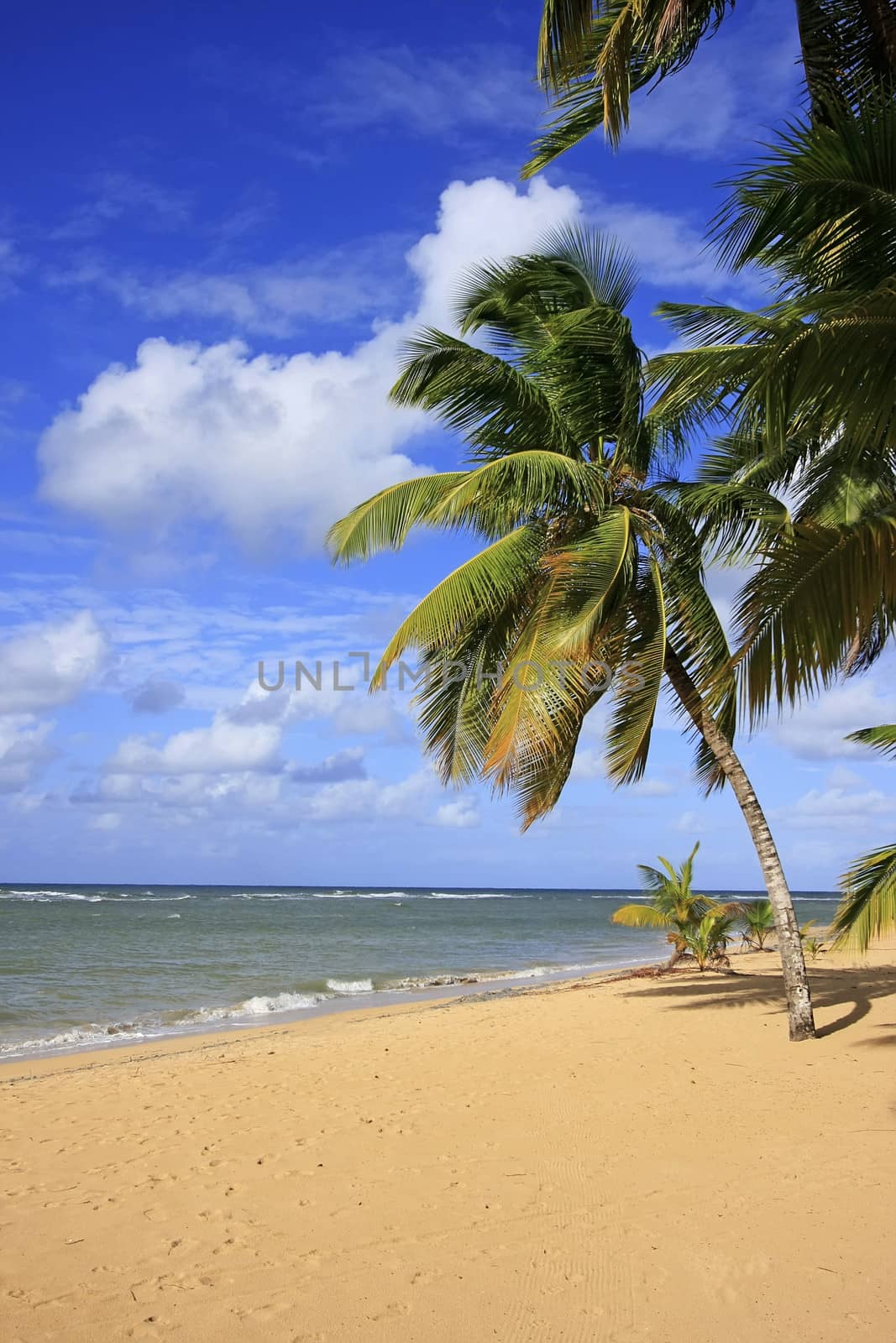 Las Terrenas beach, Samana peninsula by donya_nedomam