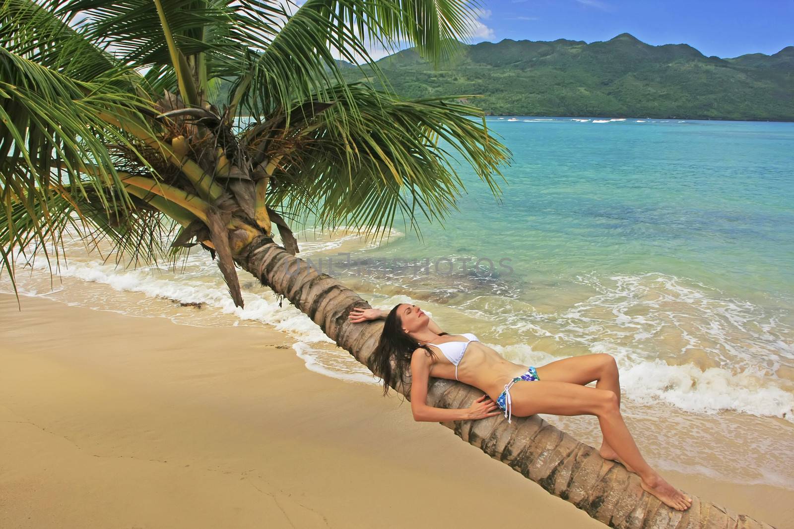 Young woman in bikini laying on leaning palm tree at Rincon beach, Samana peninsula, Dominican Republic