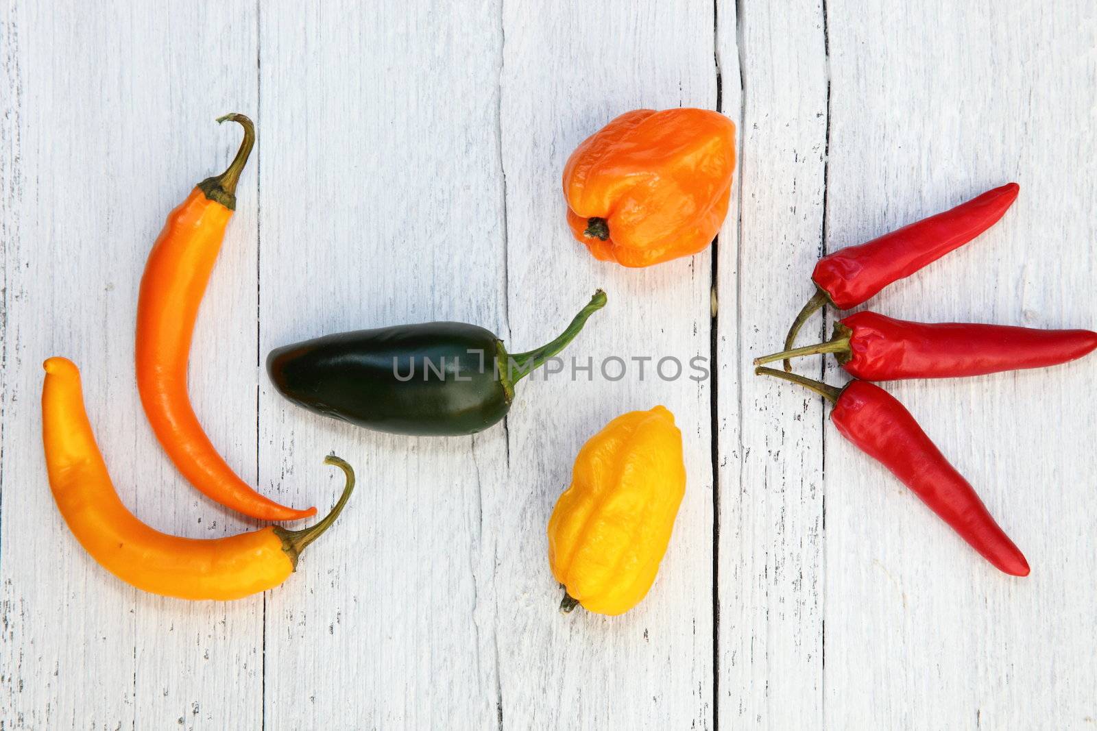 Fresh colourful assorted peppers arranged on painted textured white wooden boards including bell peppers and red hot chilli peppers