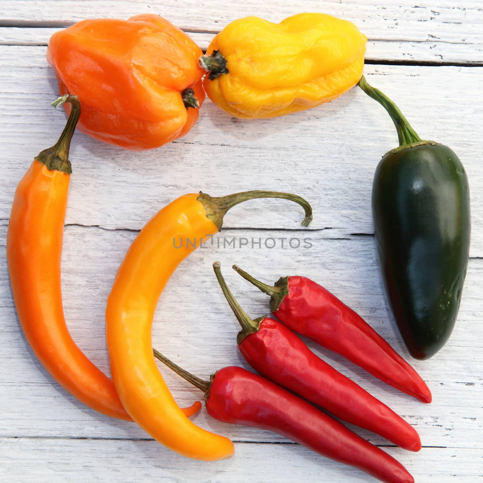 Assorted colourful peppers by Farina6000