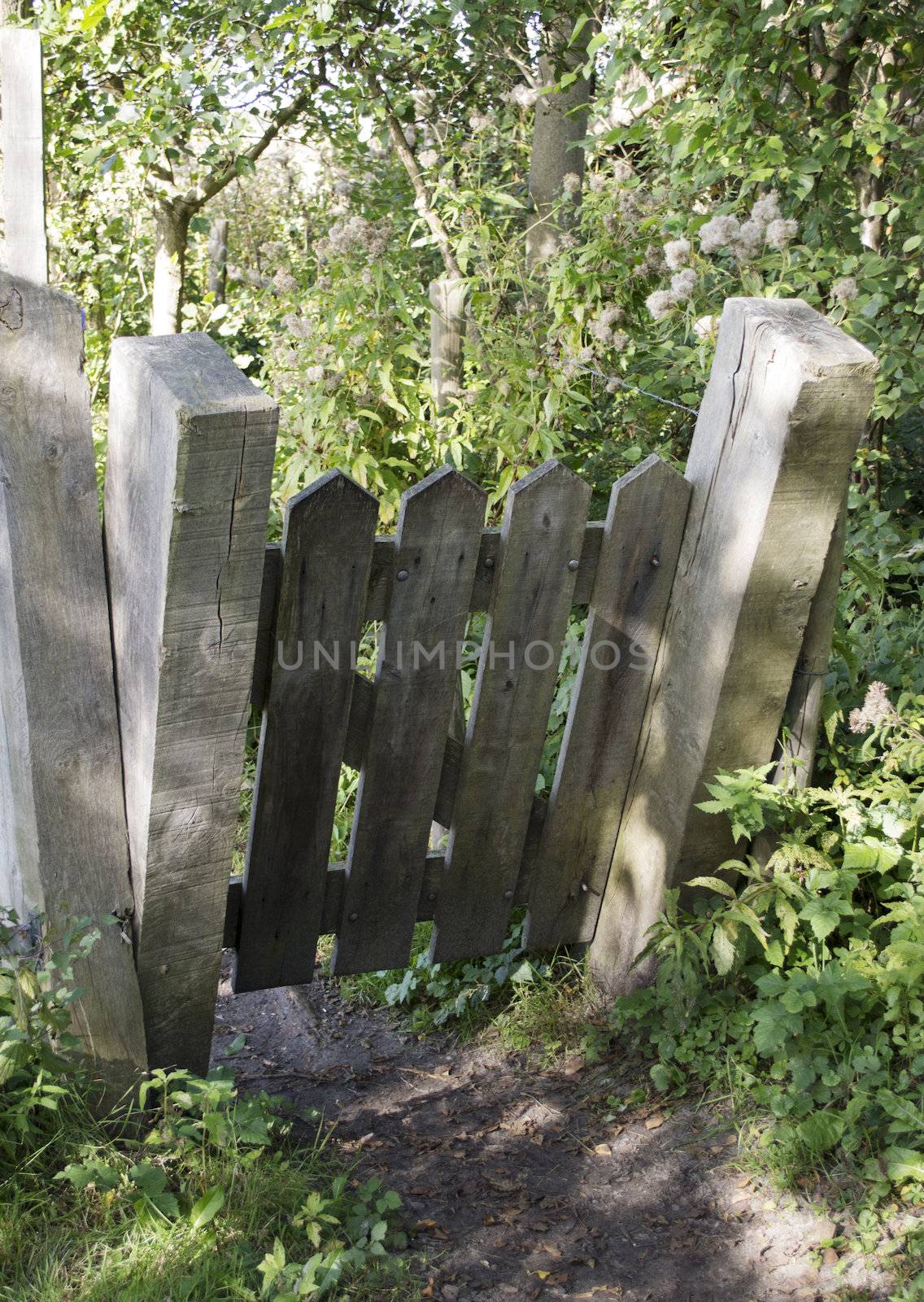 wooden barrier to protect the animals in nature area for running