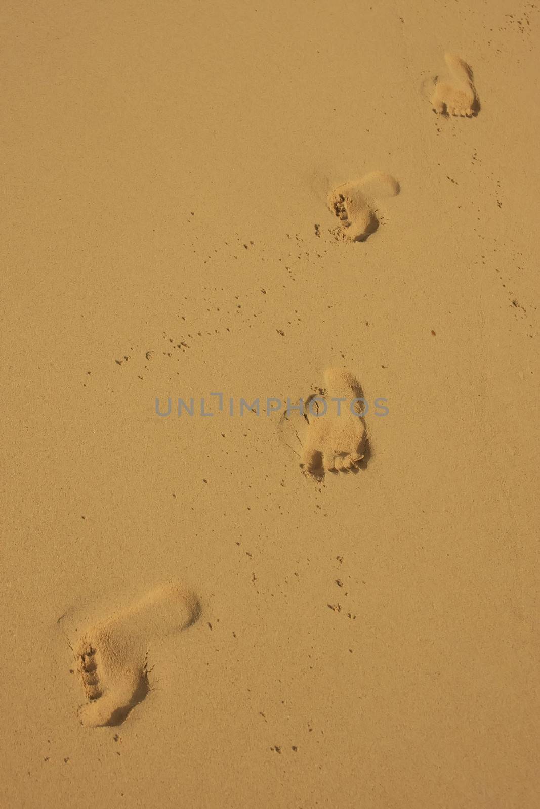 Footprints in sand by donya_nedomam