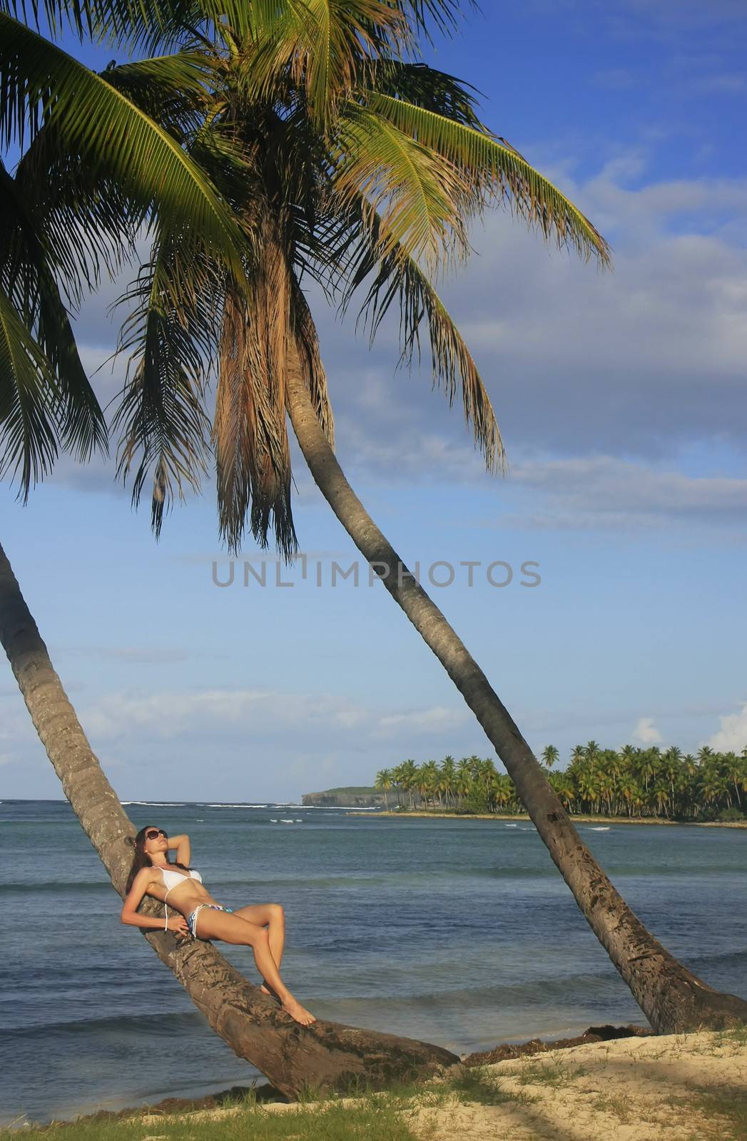 Young woman in bikini laying on leaning palm tree, Las Galeras beach, Samana peninsula, Dominican Republic