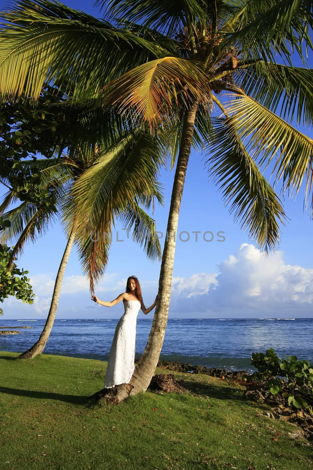 Young woman in wedding dress standing by palm tree