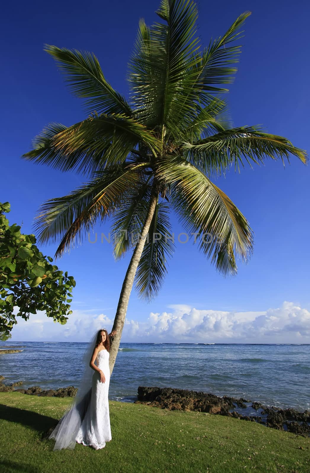 Young woman in wedding dress standing by palm tree