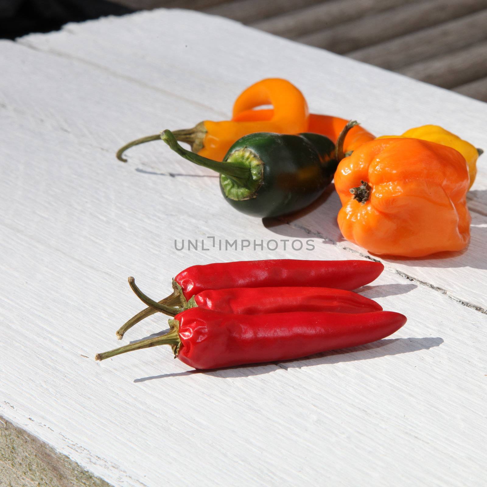 Three whole fresh red hot chilli peppers in the foreground on a painted white wooden surface with colourful sweet bell peppers behind