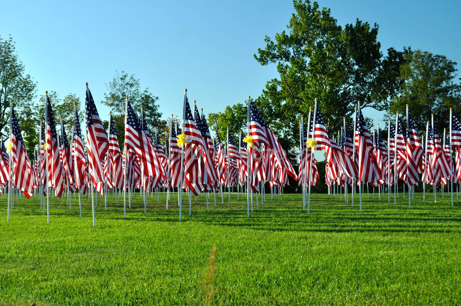 Flags 21 by RefocusPhoto