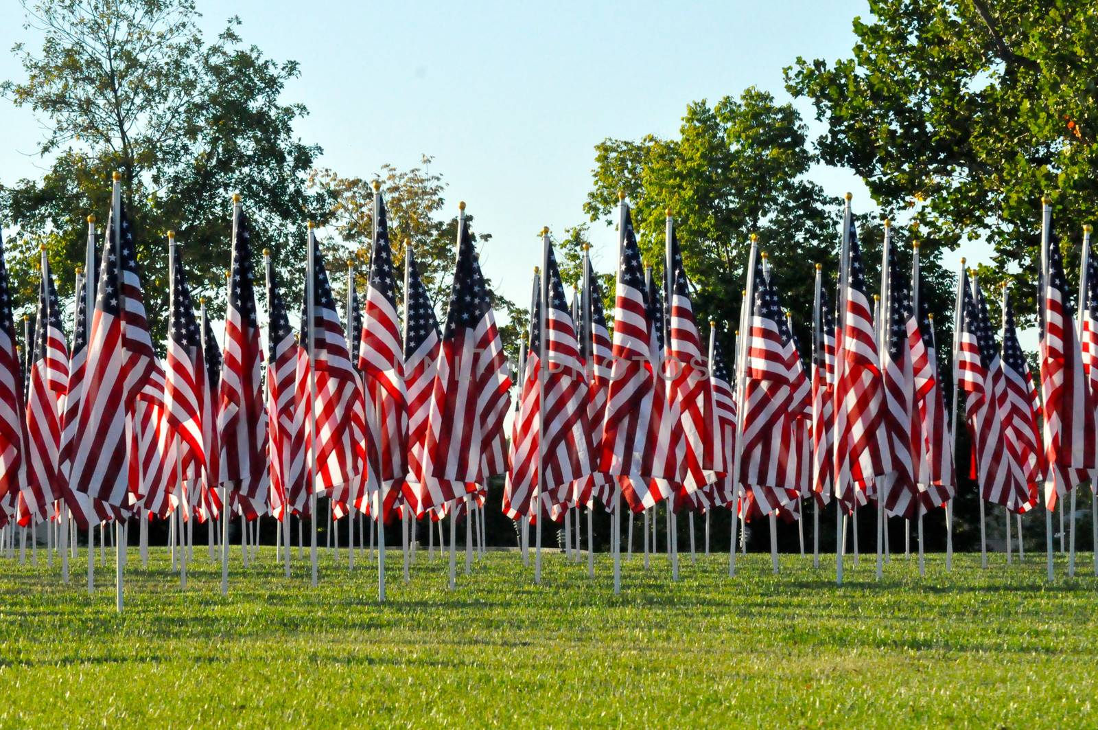 Flags line Minnetrista Cultural Center